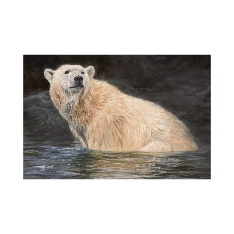 Polar Bear by David Stribbling - Wrapped Canvas Print, 20.32 cm H x 30.48 cm W