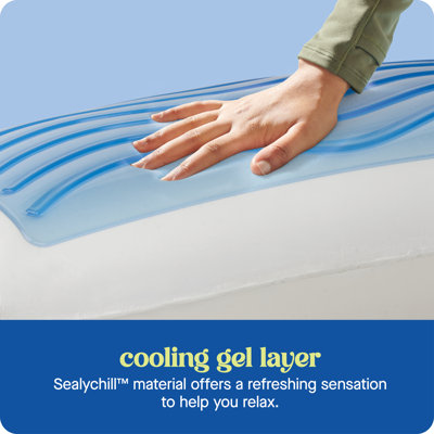 Sealy Dreamlife Memory Foam Gel Medium Firm Pillow