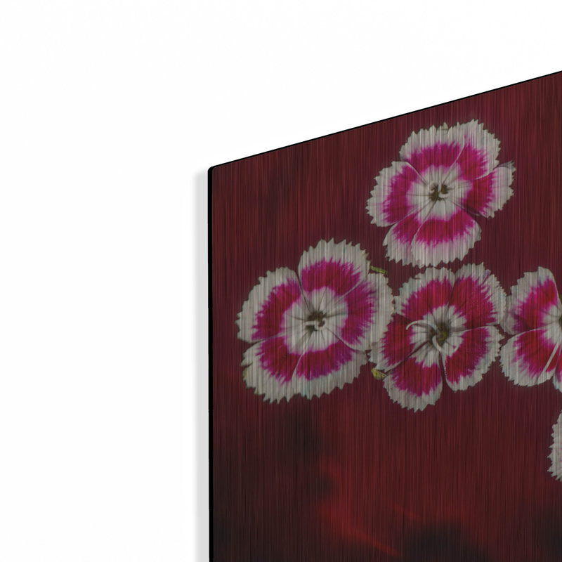 «Macro Flowers 02» par Gordon Semmens, H 16 po x l 24 po