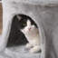 Masham 381cm H Cat Tree