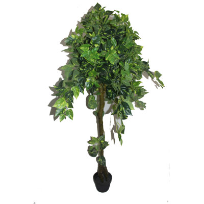 62.99'' Faux Bonsai Tree in Ceramic Pot