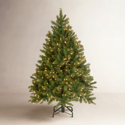 Dunhill Fir Tree with Clear Lights