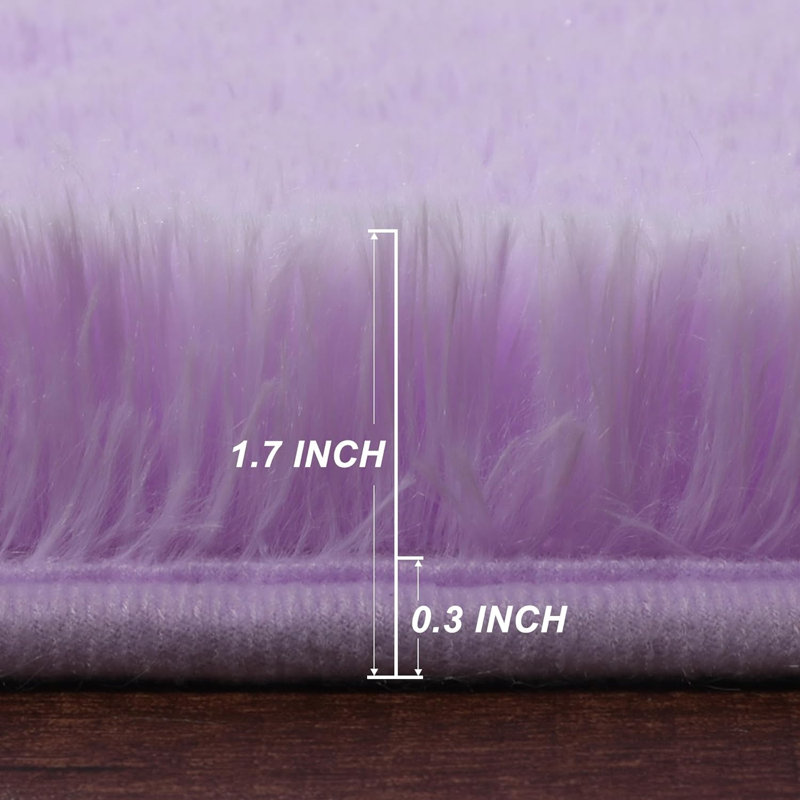 Tapis d'intérieur moelleux et moelleux pour chambre d'enfant, Rectangle 28 po x 42 po