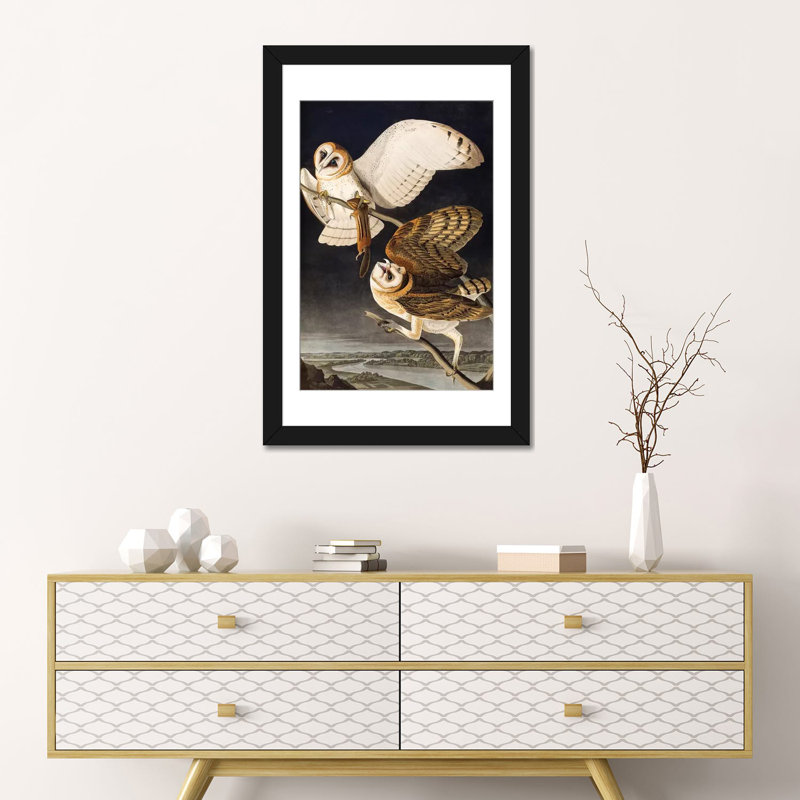 «Barn Owl Audubon Commission», impression sur toile, H 32 po x l 24 po x P 1 po, Papier d'art encadré noir, Blanc