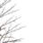 7' Matte Black LED Lighted Tree