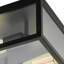 Burns Glass Flush Mount