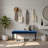 Modern Elegant Velvet Upholstered Bench Entryway Bench Bedroom End of Bed Bench Dining Bench-1109505988