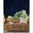 Peel & Stick Wall Mural