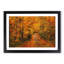 Heading into the Forest - Picture Frame Painting Print-56711982-56711985