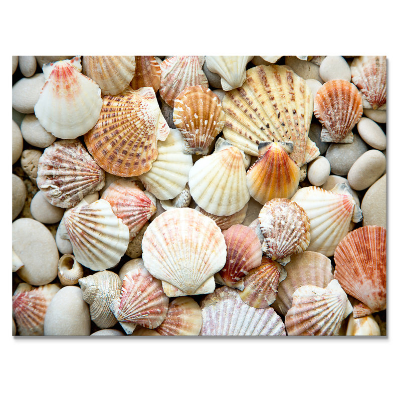 «Red Orange» et «White Shells and Stones» - Photographie sur toile tendue, H 16 po x l 32 po