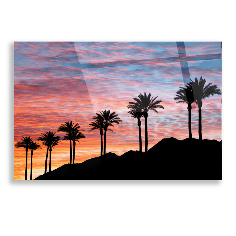 «Palm Tree Sunset» par Dennis Frates - impression sans cadre, H 12 po x l 16 po x P 0,13 po