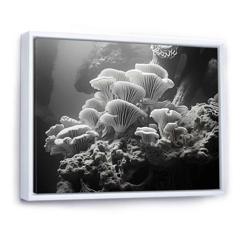 Anémone noire et blanche I sur toile, H 16 po x l 32 po x P 1 po, Cadre flottant blanc