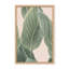 Coastal Retreat Calla Leaf by  - Picture Frame Graphic Art on Paper-131284552-131291984-81386758