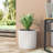 PLANTER