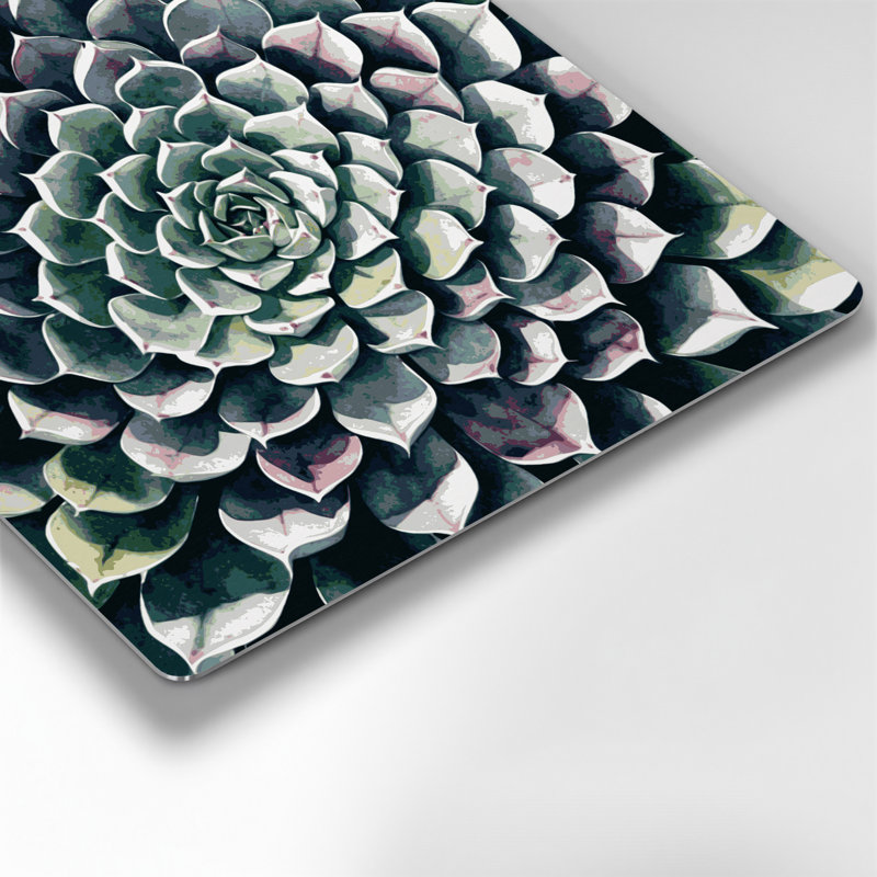 Art mural botanique gris Echeveria, H 12 po x l 12 po