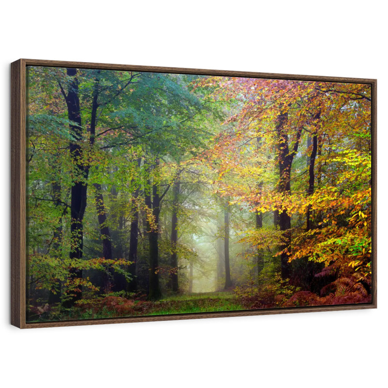 Broceliande Coloured Forest, Floating Frame Walnut, 31" X 21"