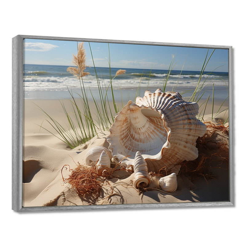 «Beach Photo Seashell Symphony I», reproduction d'art sur toile, H 12 po x l 20 po x P 1 po, Argent argent