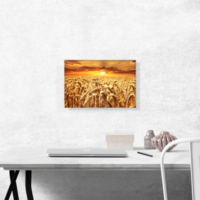 " Wheat Field "