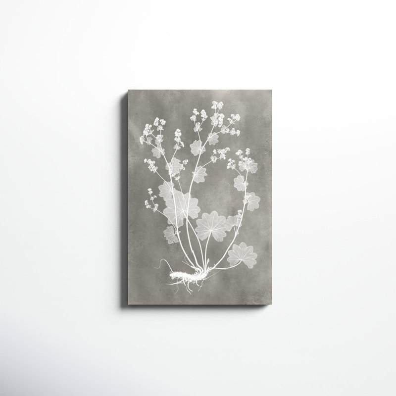 Herbarium Study I, peinture sur toile, H 30 po x l 20 po