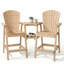 Ensemble de chaises hautes en PEHD Adirondack avec plateaux doubles amovibles (ensemble de 2)-188184637