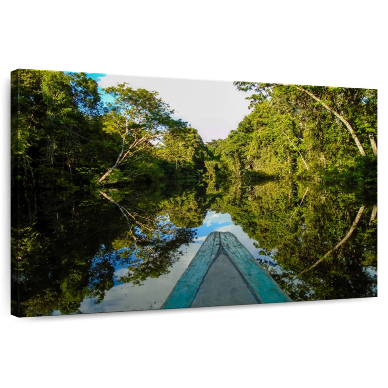 Alvord Amazonas, H 8 po x l 12 po