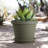 Terra Traditional Plastic Indoor/Outdoor Pot Planter-759619946-759313256