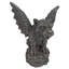 Statue gargouilles florentines-5821604