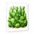 Cadre simple blanc