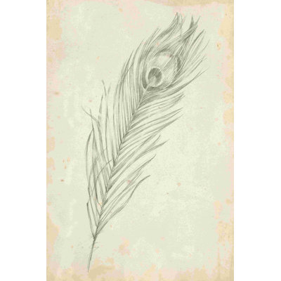 Croquis de plumes de paon II