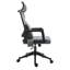 Biddick Office Chair with Headrest-1012889314