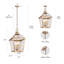 Suspension extérieure à 4 lumières de 14,8 pouces de large