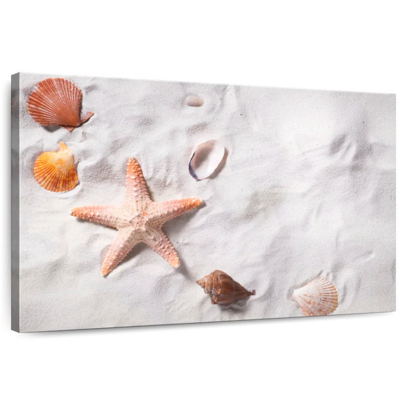 Beach seashells and starfish Aletra, H 24 po x l 36 po
