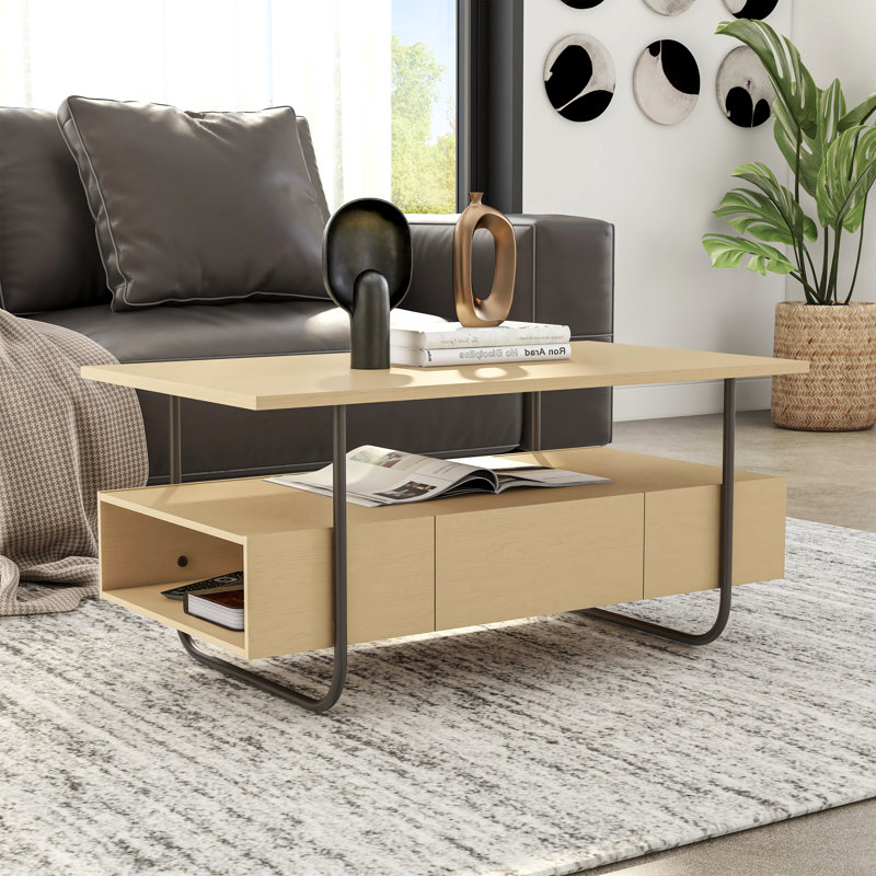 Sled Coffee Table with Storage