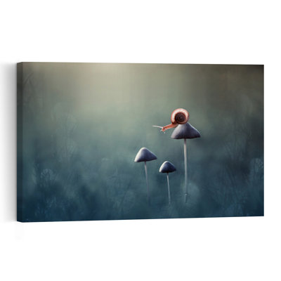 Petit escargot sur champignon - Affiche murale délicate, onirique et paisible représentant une forêt d'animaux