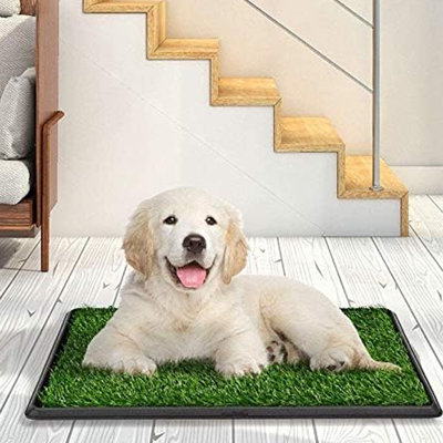 Artificial Grass Puppy Potty Training Pad with Tray and 3PCS Dog Bath Brush & Pet Shampoo Massage Brush, 2 Layers 15" x 30" Reusable Pee Pad for Small Pets and Dogs