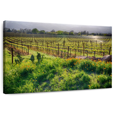 Alvord Sunrise In The Vineyard