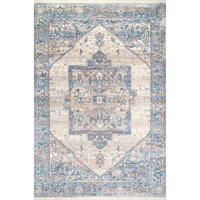 Alieda Oriental Indoor Rug