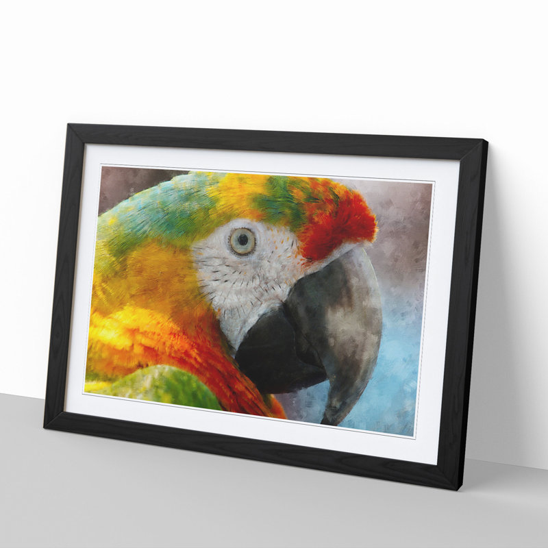 A Macaw Parrot - Picture Frame Graphic Art, 27cm H x 36cm W x 2cm D, Black Framed