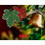 Ornement en forme de vacances de Noël-62011152