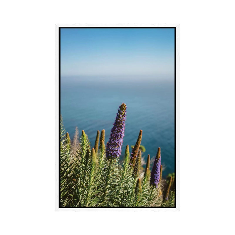 Big Sur Blooms II by Bethany Young - Print on Canvas, 101.6cm H x 66.04cm W x 3.81cm D, White Framed