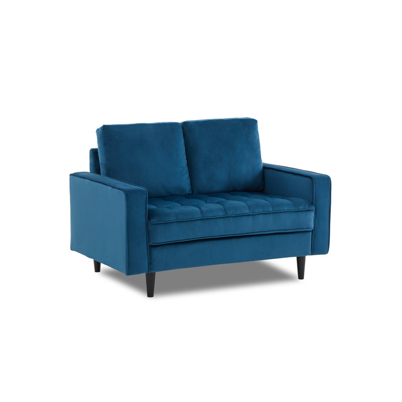 Arngerus Velvet Loveseat, Blue