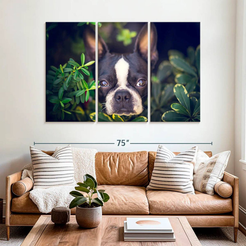 Brampt Boston Terrier Hiding, 42" H x 65" W