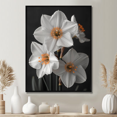 Monochromes blancs jaunes botaniques jonquilles I - jonquilles murales