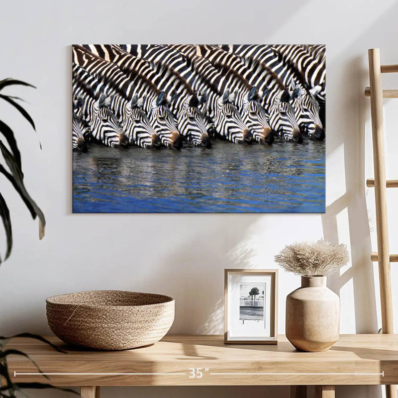 Crowle Zebras buvant de l'eau, H 16 po x l 24 po