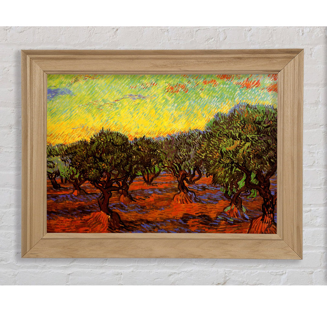 Olive Grove Orange Sky - Druck