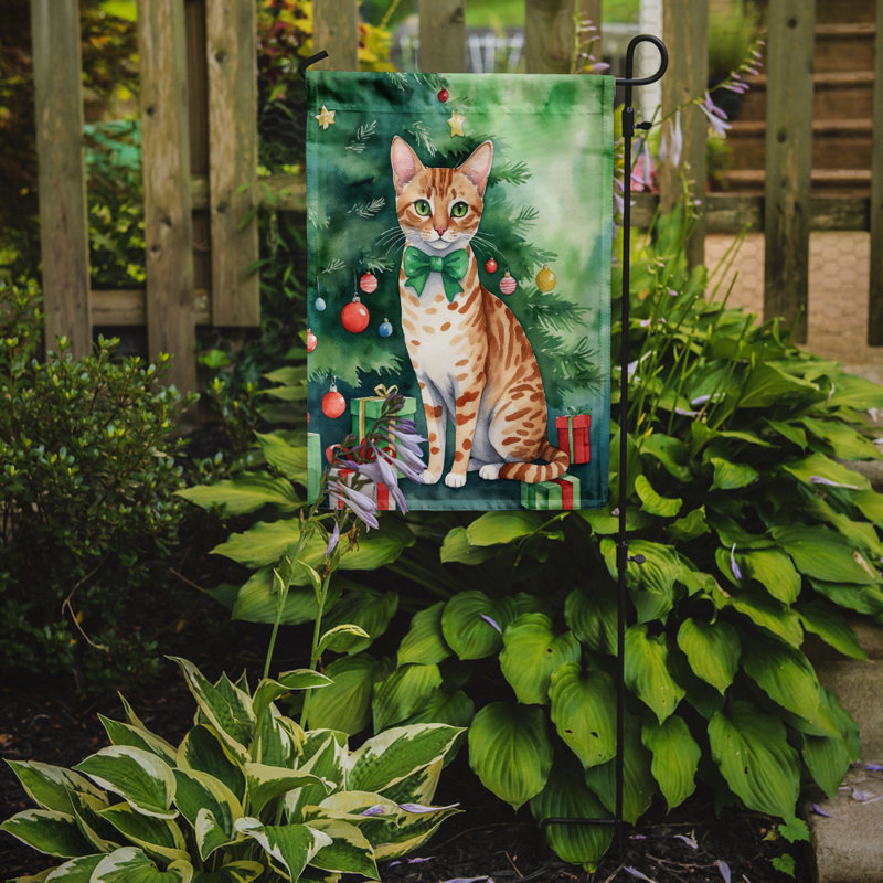 Drapeau de jardin Pixie Bob, Ocicat
