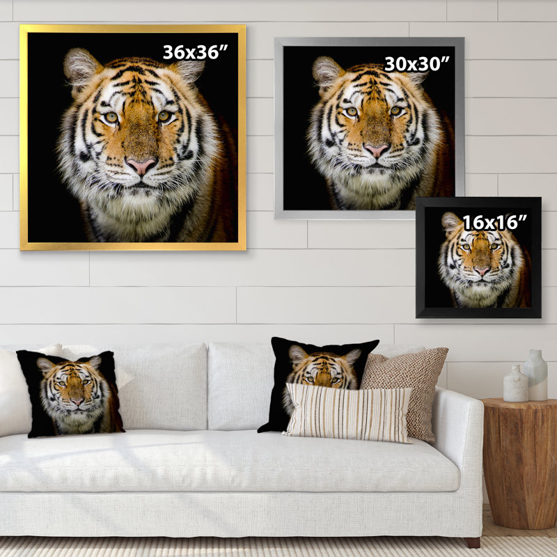 Portrait d'un tigre adulte - reproduction d'art sur toile traditionnelle, H 16 po x l 16 po x P 1 po, Cadre photo noir