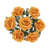 Dusty Orange n'est pas disponible