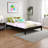 Rikus Platform Bed-144672364-229981829