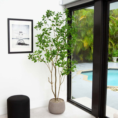 7ft. Artificial Minimalist Japanese Pieris Tree with Real Touch Leaves
